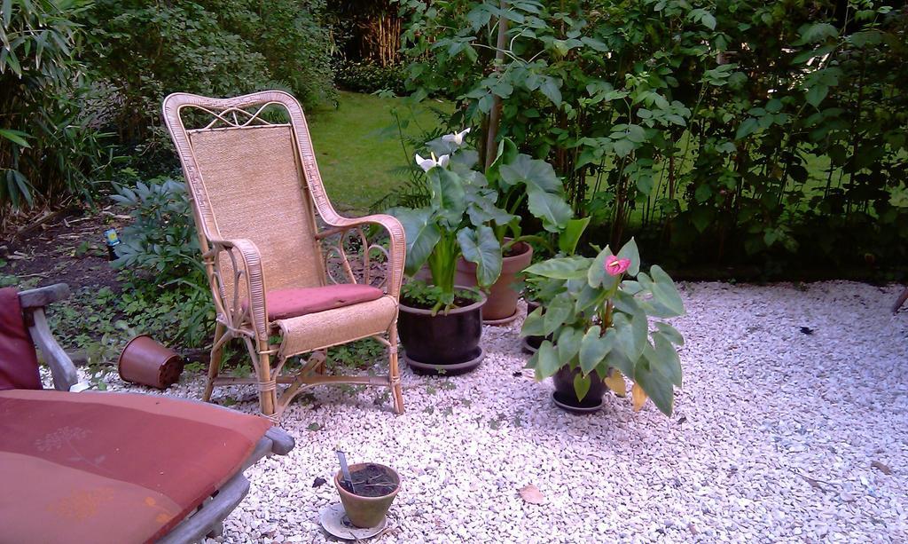 B&B The Aum-House Ghent Luaran gambar